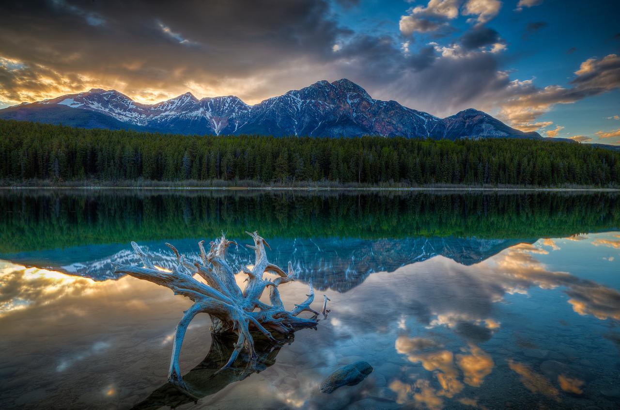 Patricia Lake Bungalows Jasper Exteriör bild